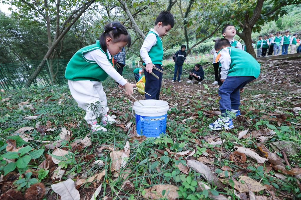 浙江諸暨：研學游激發(fā)古村新活力